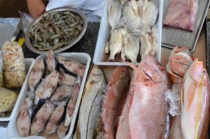 Vigilância Sanitária Estadual orienta sobre o que observar na compra do pescado