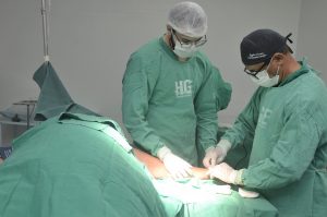 HGE e HEA atendem mais de 950 pessoas no feriadão de Tiradentes
