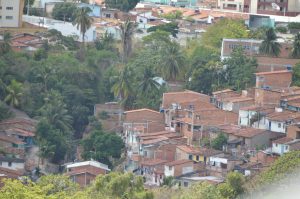 Sesau abre inscrições para o I Workshop Estadual das Leishmanioses