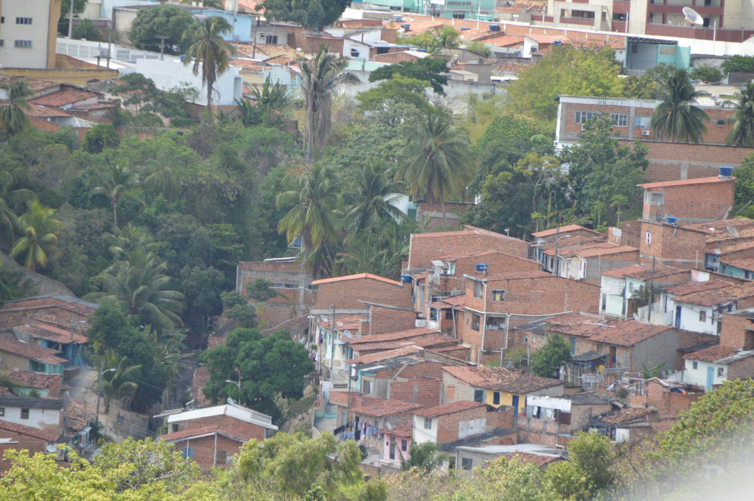 Leia mais sobre o artigo Sesau abre inscrições para o I Workshop Estadual das Leishmanioses