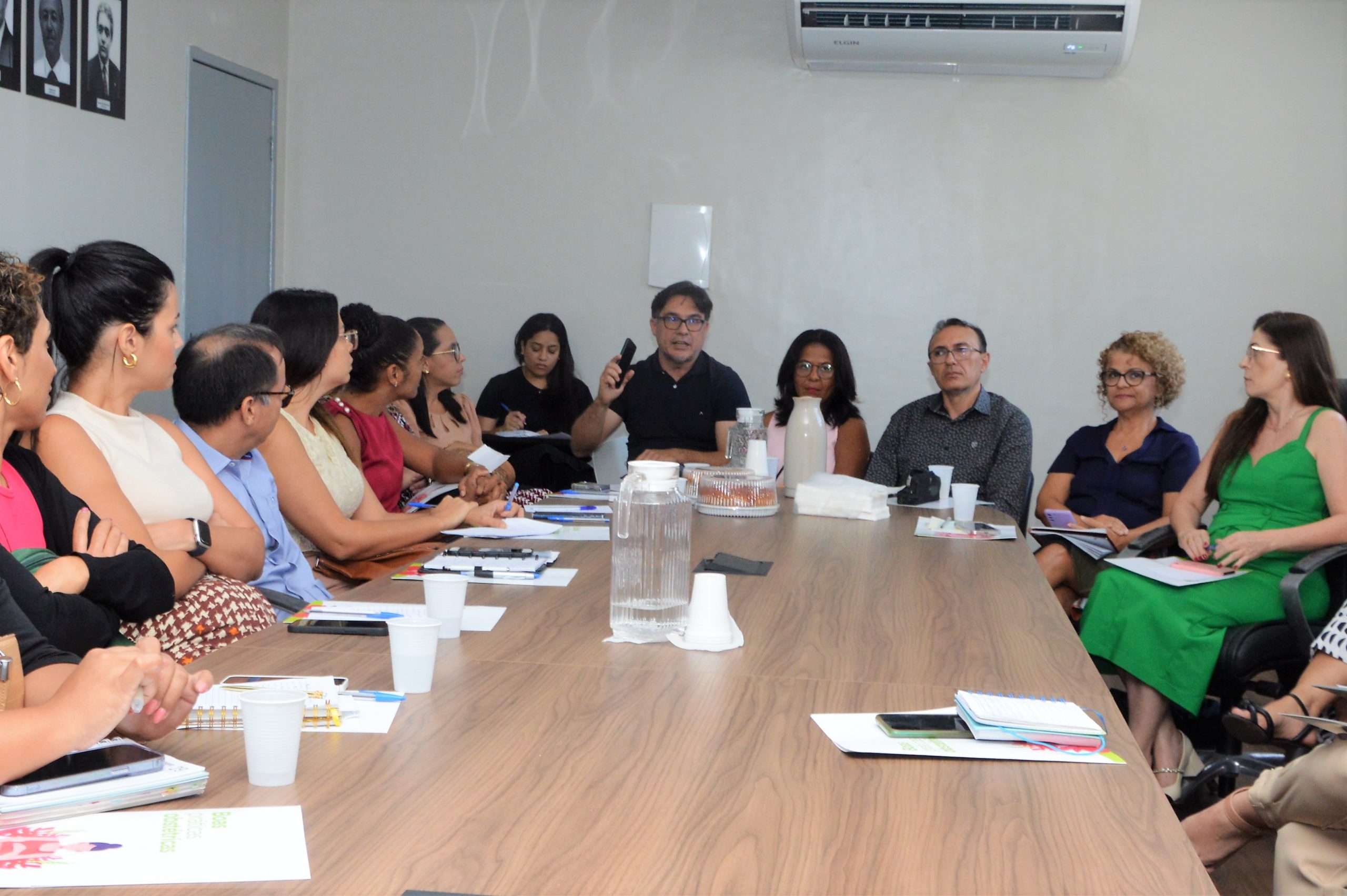Leia mais sobre o artigo Técnicos da Rede Cegonha discutem fluxo de atendimento para a assistência obstétrica em Alagoas