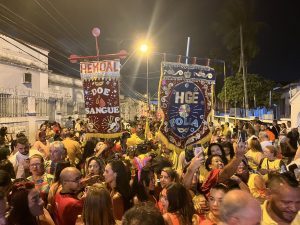 Blocos Hemovida e HGE na Folia conscientizam sobre importância da doação de sangue