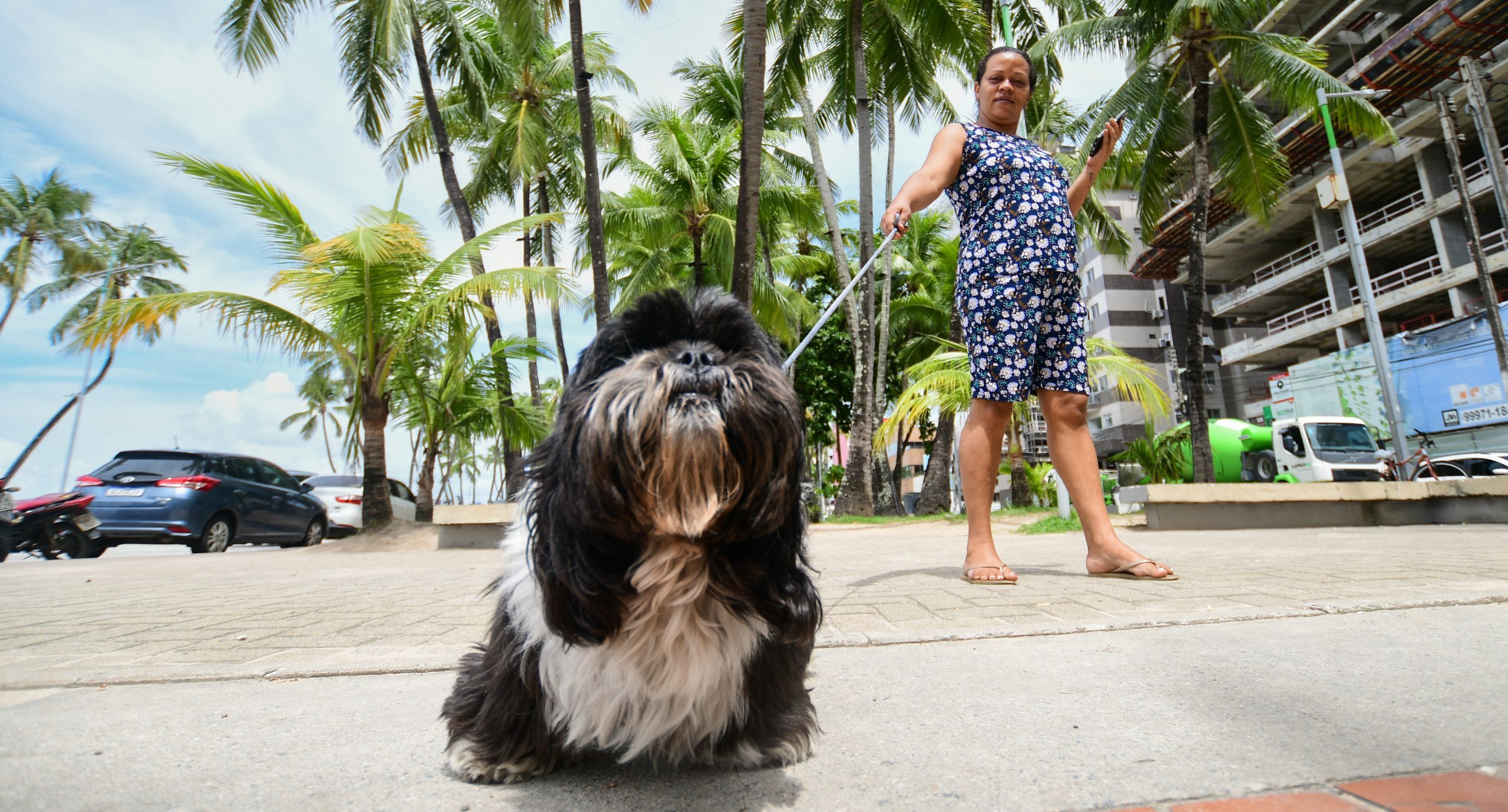 Leia mais sobre o artigo Sesau alerta sobre a importância da vigilância e controle de doenças transmitidas entre animais e seres humanos