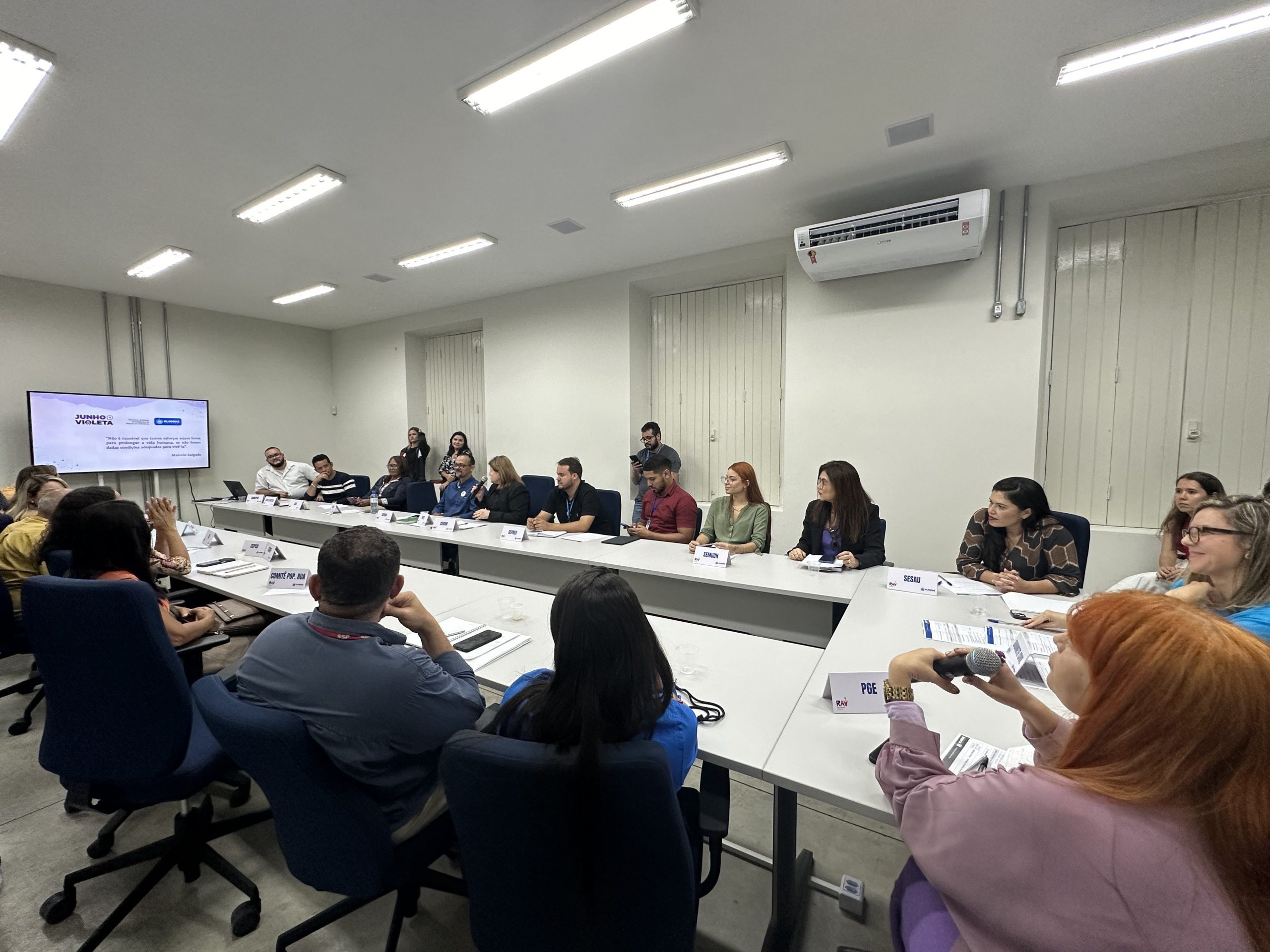 Leia mais sobre o artigo Combate à violência: Comitê Gestor da RAV apresenta cronograma da campanha Agosto Lilás