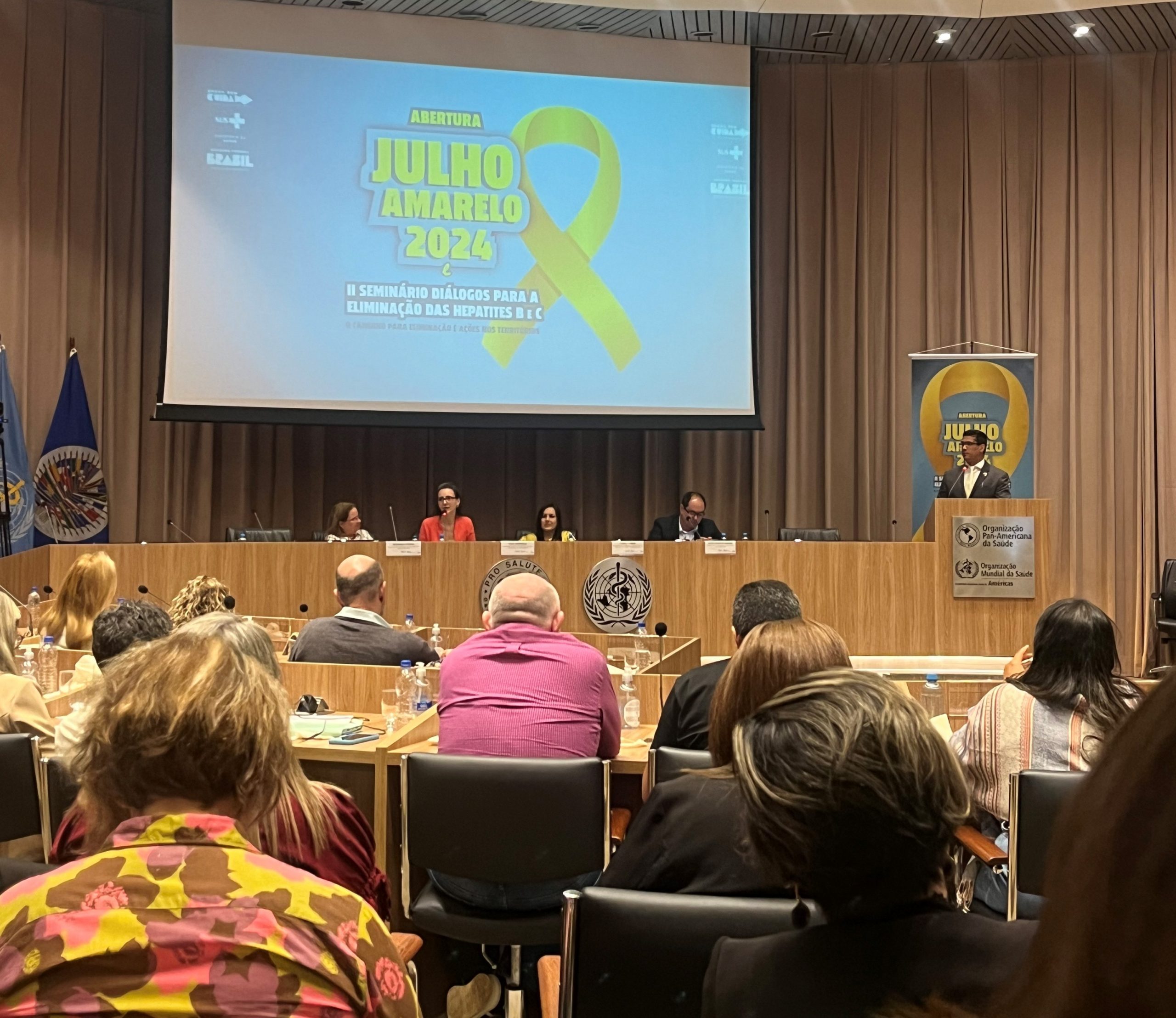 Leia mais sobre o artigo Sesau participa de seminário em Brasília sobre eliminação de Hepatites virais B e C