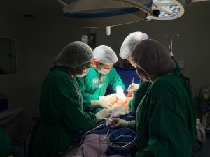 Hospital Regional do Alto Sertão faz primeira captação de órgãos para transplantes