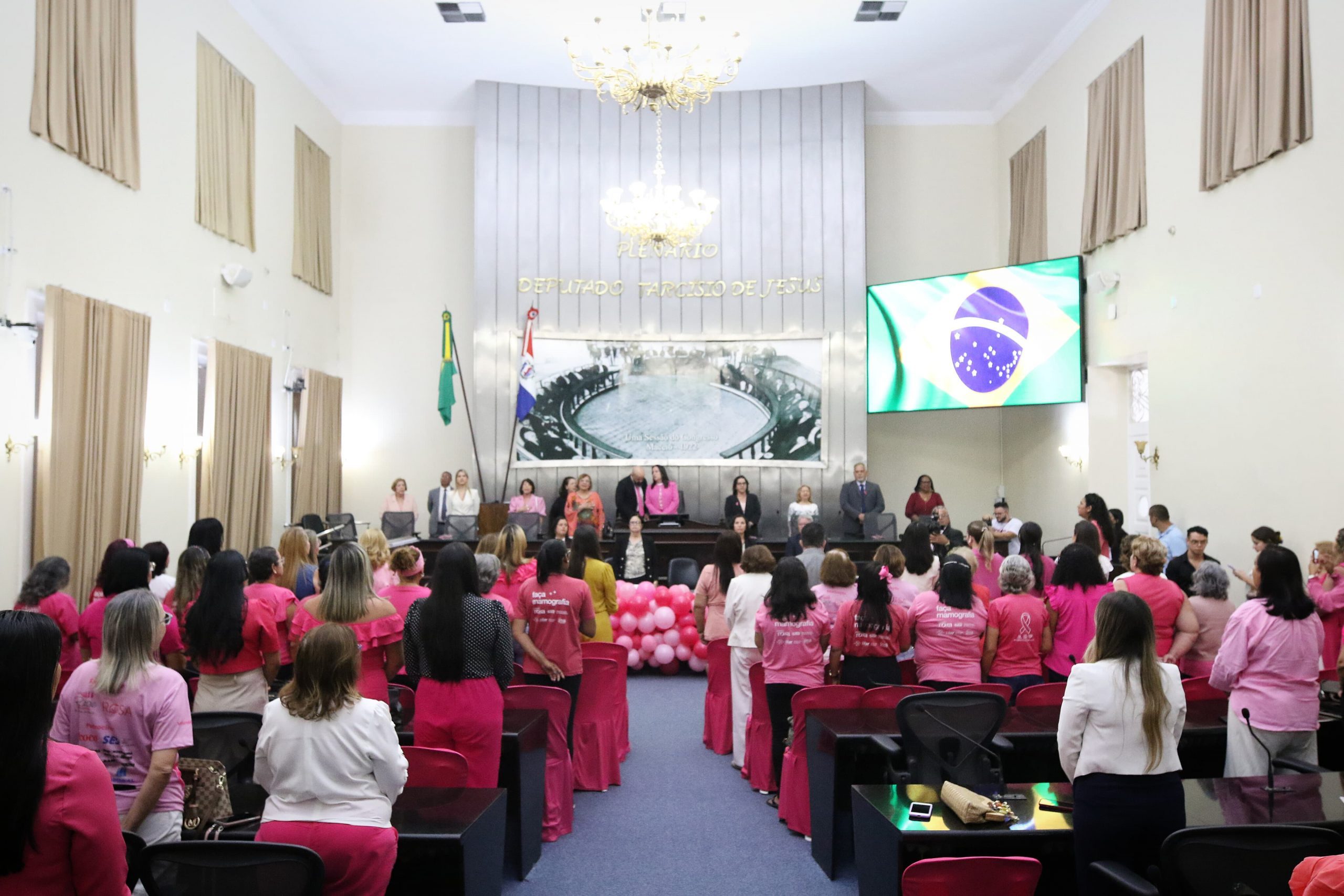 Leia mais sobre o artigo Secretaria de Saúde participa de sessão especial na ALE sobre a campanha Outubro Rosa