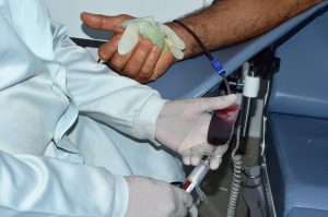 Unidades do Hemoal funcionam em horário especial nesta quarta, feriado da Consciência Negra
