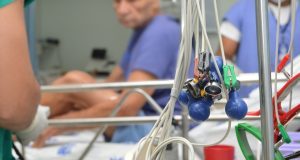 Hospitais de Emergência da Sesau atendem mais de 250 pessoas no Dia da Consciência Negra