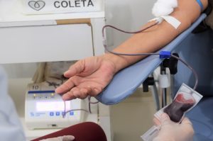 Veja como será o funcionamento das unidades do Hemoal durante a véspera e o dia de Natal