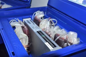 Hemoal promove Coletas Externas de Sangue em Arapiraca e Maceió nesta terça-feira