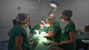 Sesau reforça a importância de comunicar a família o desejo de ser doador de órgãos
