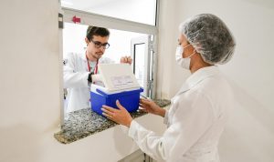 Hemoal assegura hemocomponentes a unidades de saúde e beneficia quase 300 pessoas no Carnaval