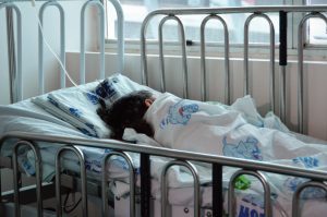 Chuva e umidade aumentam riscos de doenças respiratórias em crianças, alerta pediatra da Sesau