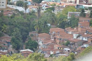 Sesau reforça a importância do diagnóstico, tratamento e prevenção da Leishmaniose