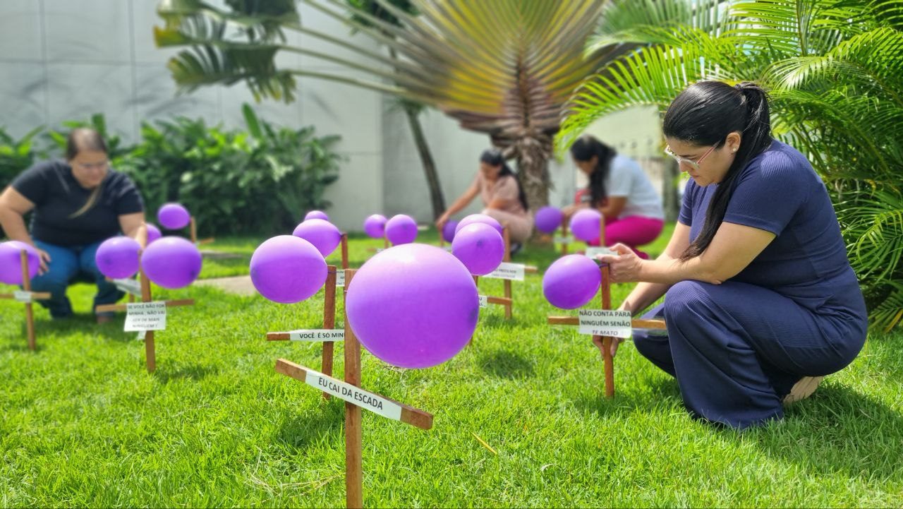Leia mais sobre o artigo Área Lilás do Hospital de Emergência do Agreste transforma jardim em painel de conscientização sobre violência contra a mulher