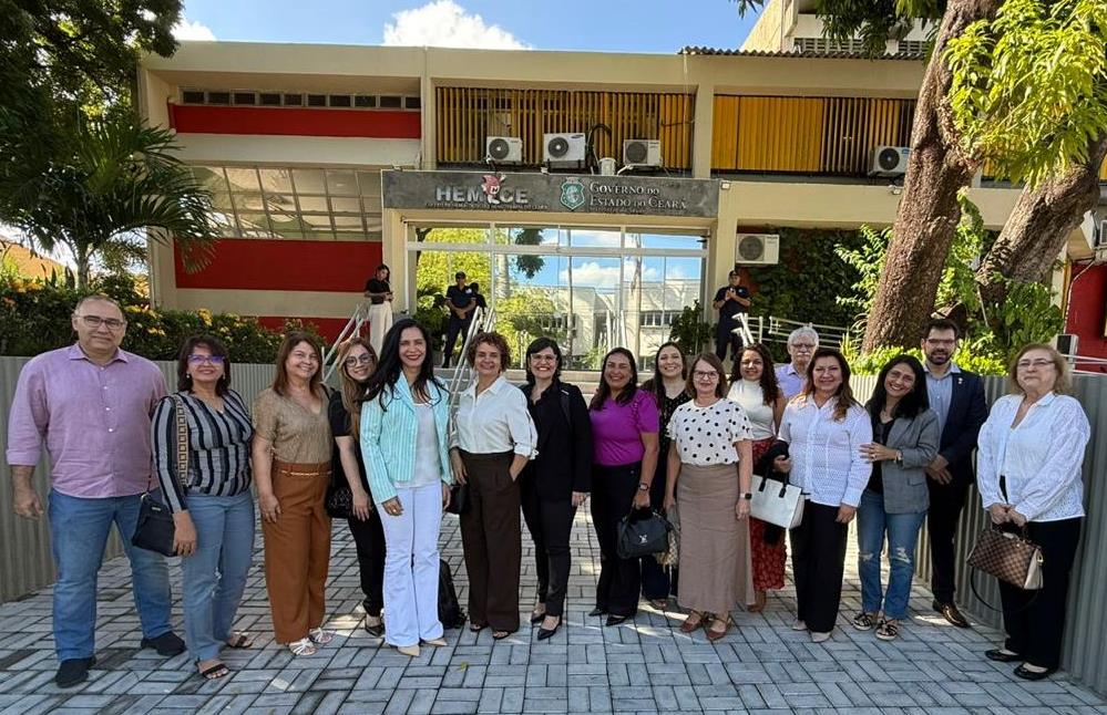 Leia mais sobre o artigo Hemoal participa do I Workshop de Implantação do Programa de Gestão do Sangue do Paciente