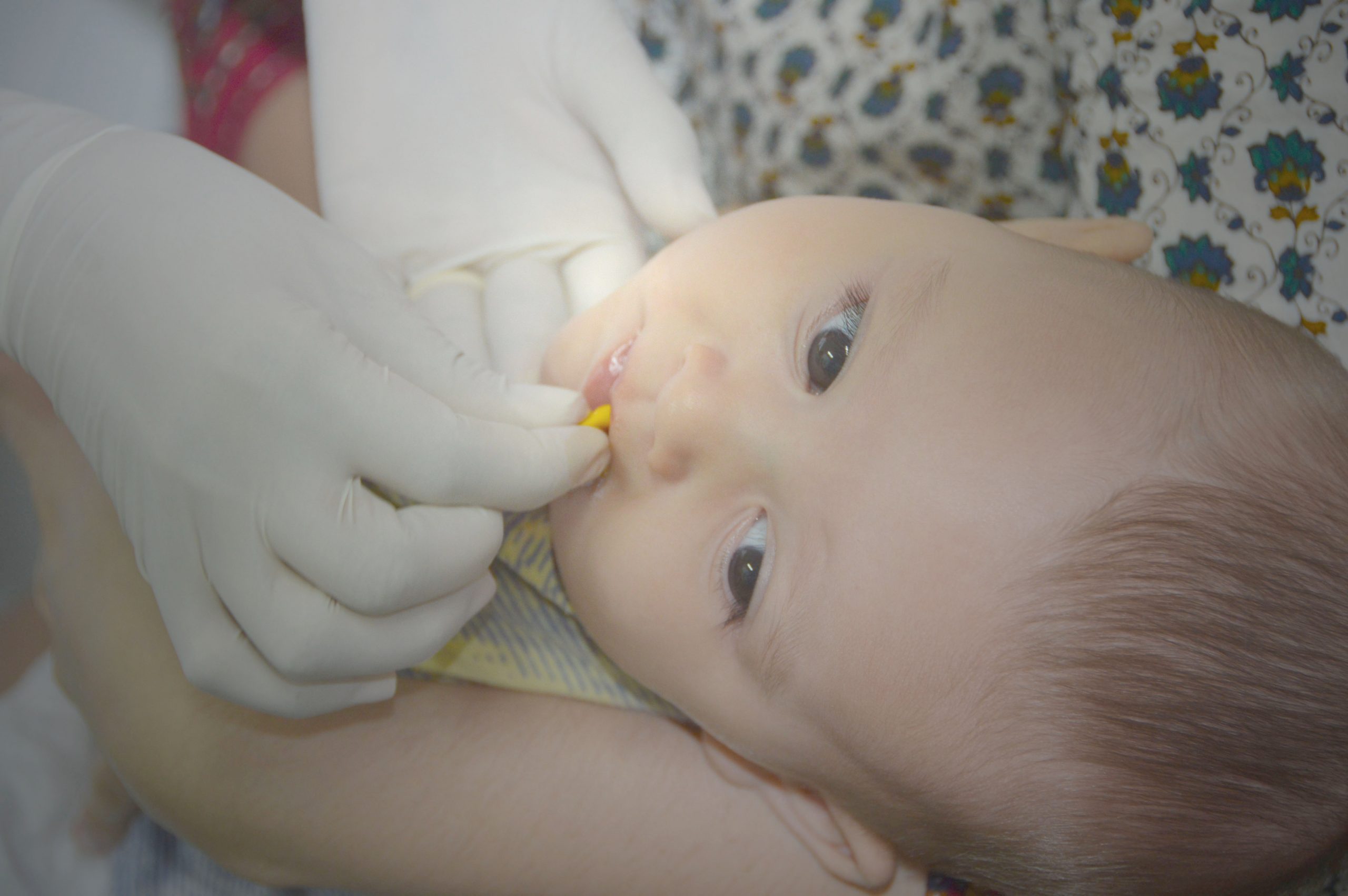 Leia mais sobre o artigo Sesau promove seminário sobre os 20 anos dos Programas Nacionais de Suplementação de Micronutrientes