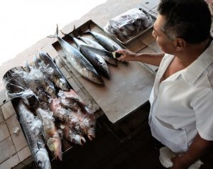 Nutricionista da Sesau orienta sobre cuidados ao comprar e acondicionar o pescado para a Semana Santa