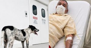 Lealdade: Cachorro permanece em frente ao Hospital Dr. Ib Gatto Falcão até a alta médica do tutor