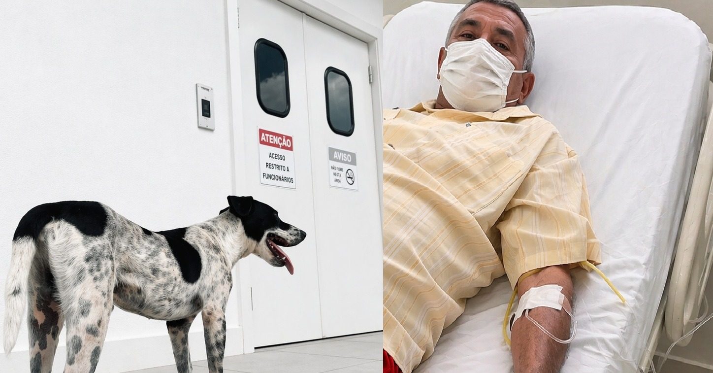 Leia mais sobre o artigo Lealdade: Cachorro permanece em frente ao Hospital Dr. Ib Gatto Falcão até a alta médica do tutor