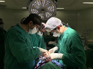 Alagoas registra aumento superior a 10% no número de transplantes de órgãos realizados no primeiro quadrimestres deste ano