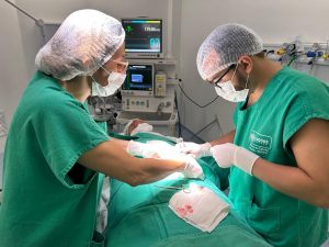 Agora Tem Especialistas: Mutirão de cirurgias reduz fila de espera de pacientes do Agreste alagoano