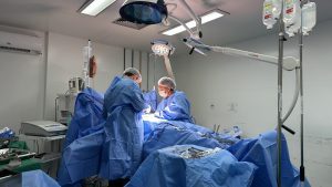 HGE faz duas captações de órgãos e renova esperança de 8 pacientes que esperam por transplante